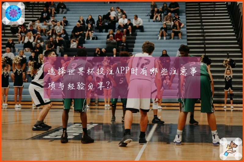 选择世界杯投注APP时有哪些注意事项与经验分享？