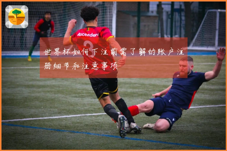 世界杯如何下注前需了解的账户注册细节和注意事项