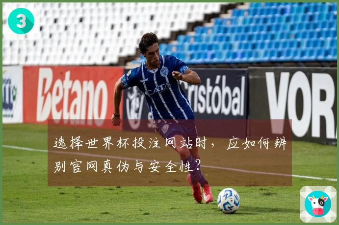 选择世界杯投注网站时，应如何辨别官网真伪与安全性？