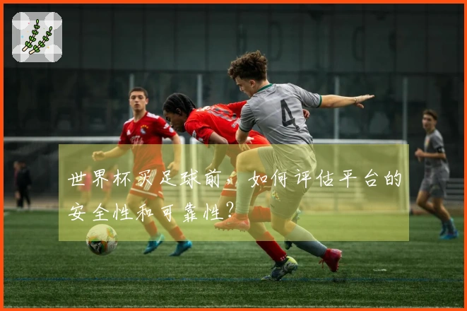 世界杯买足球前，如何评估平台的安全性和可靠性？