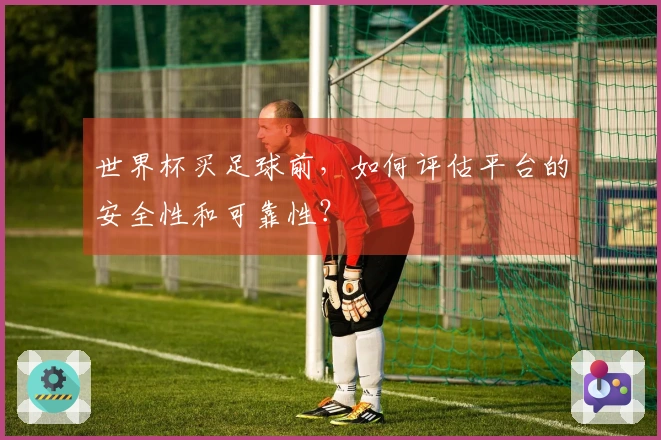 世界杯买足球前，如何评估平台的安全性和可靠性？