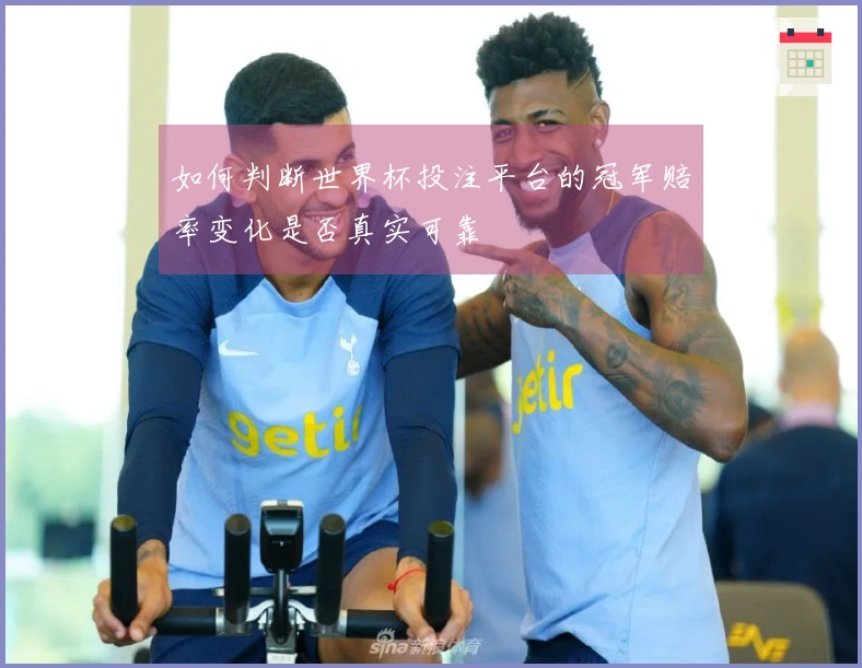 如何判断世界杯投注平台的冠军赔率变化是否真实可靠